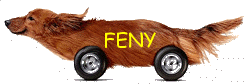 Feny