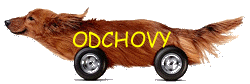 Odchovy