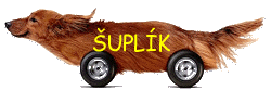 Šuplík